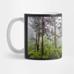 Rainforest of the Dandenong Ranges Mug